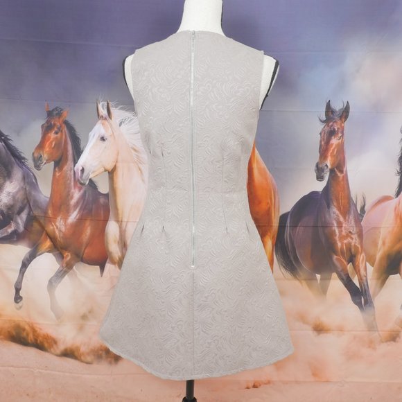 dina be Taupe Jeweled Neck Sleeveless Floral Embossed Size Small Retro Dress - Picture 9 of 10